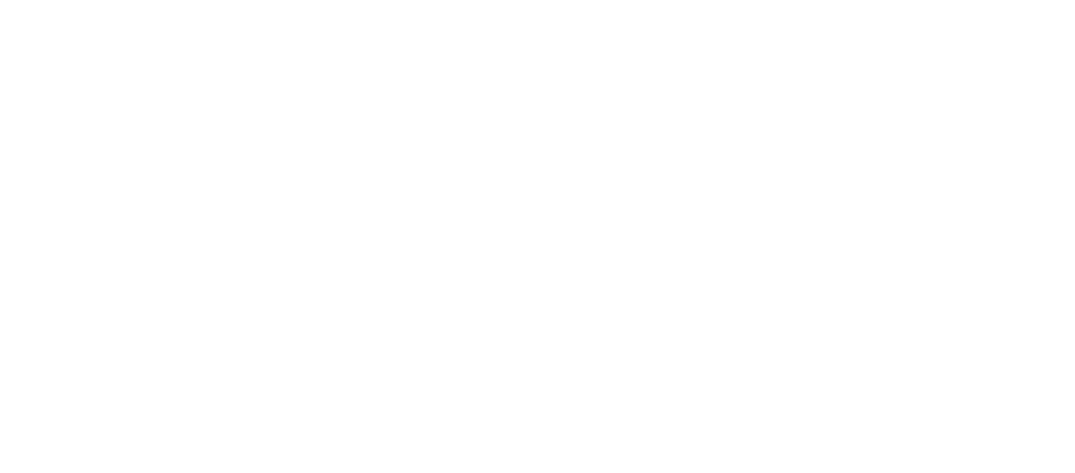 Paladin and plumbing logo